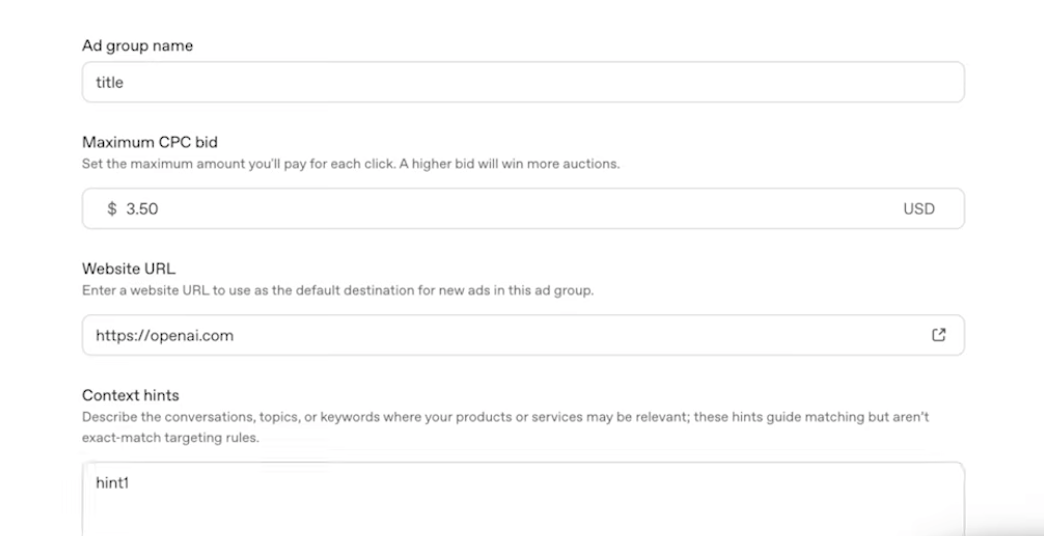 ChatGPT Ads: A Complete Guide (2026) 13 Step 5 of Step-by-Step Guide to Launching a Campaign in ChatGPT Ads Manager configuring ad group audience settings and conversational context hints